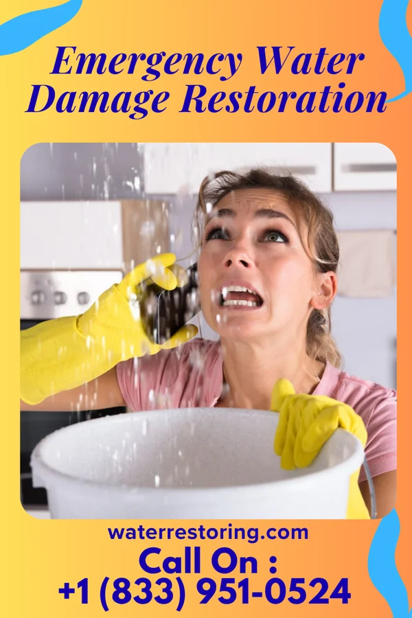 Emergency Water Damage Restoration in Browning, IL