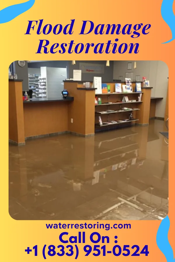 Flood Damage Restoration in Browning, IL