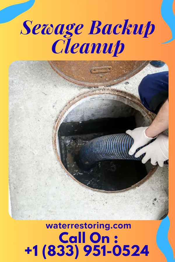Sewage Backup Cleanup in Browning, IL